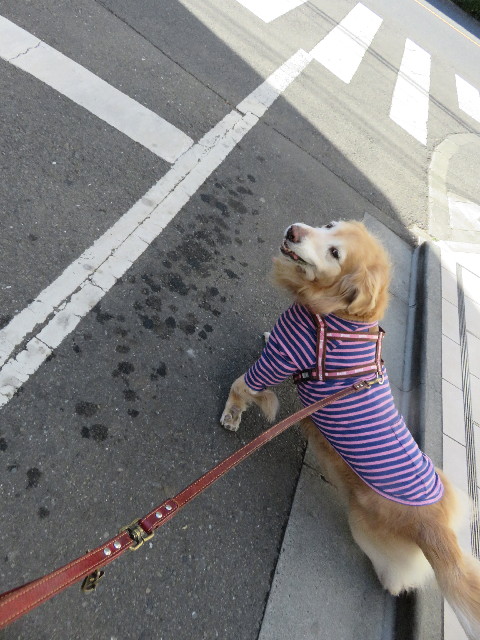 ファイル 5561-4.jpg