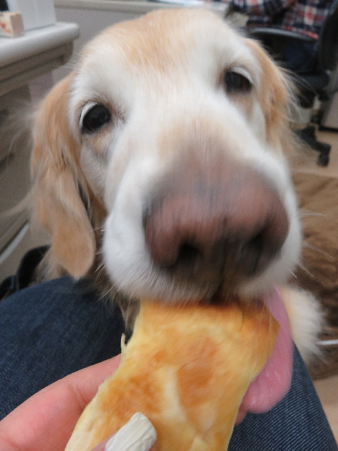 ファイル 5563-5.jpg