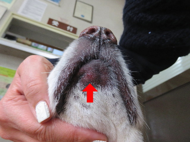 ファイル 5565-5.jpg