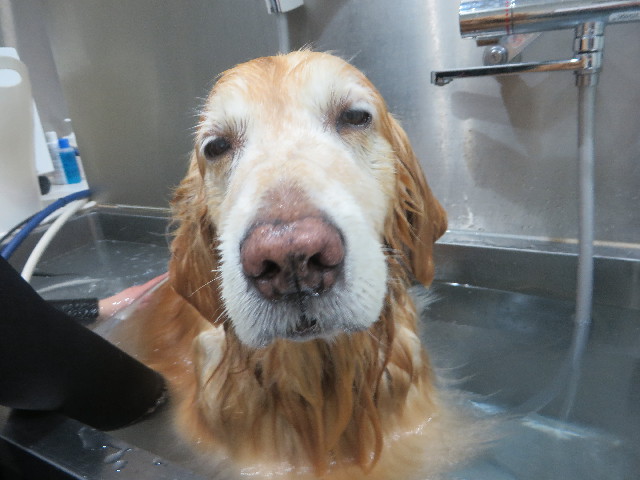 ファイル 5566-4.jpg