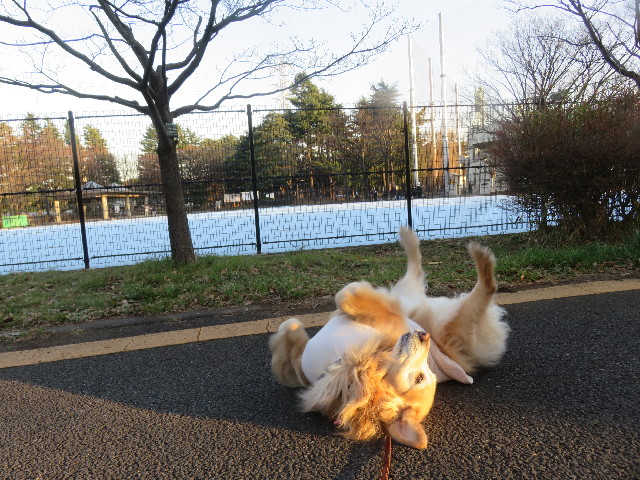 ファイル 5567-3.jpg