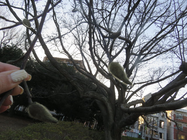 ファイル 5567-4.jpg