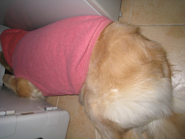 ファイル 557-2.jpg