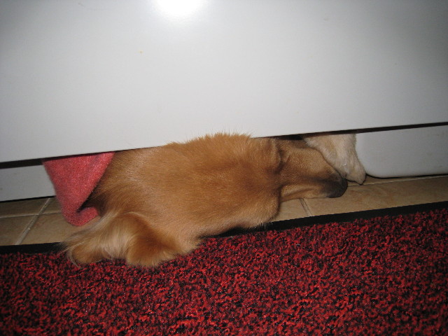 ファイル 557-3.jpg