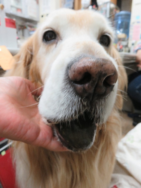 ファイル 5573-1.jpg