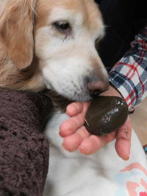 ファイル 5573-2.jpg