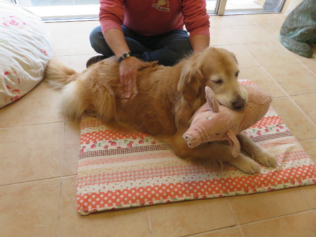 ファイル 5573-5.jpg