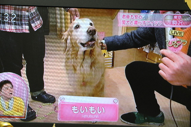 ファイル 5574-1.jpg