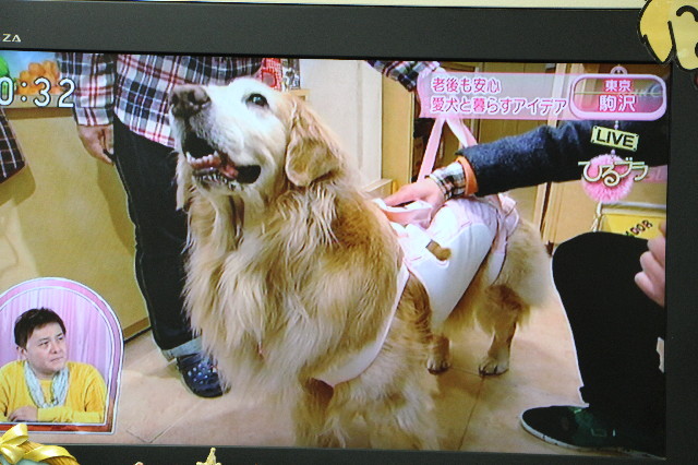 ファイル 5574-3.jpg