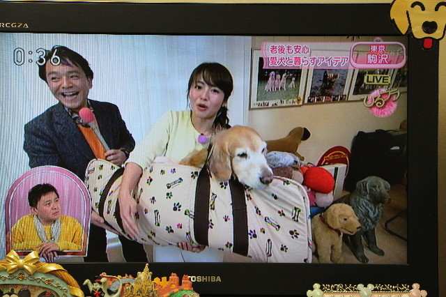 ファイル 5574-4.jpg