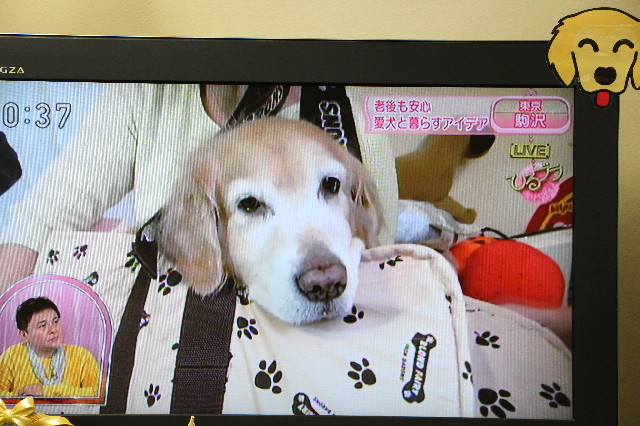 ファイル 5575-3.jpg