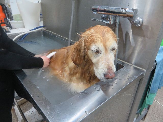 ファイル 5576-5.jpg