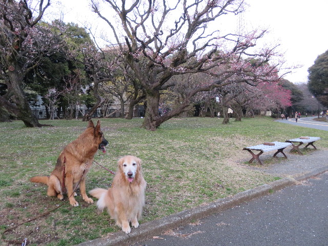 ファイル 5577-4.jpg