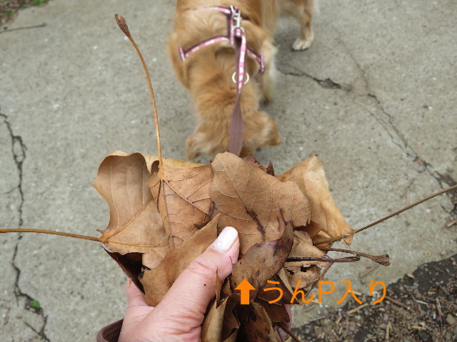 ファイル 5578-3.jpg