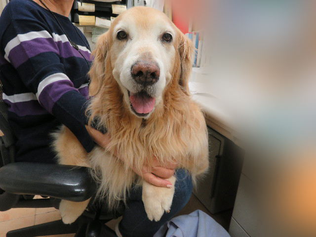 ファイル 5578-5.jpg