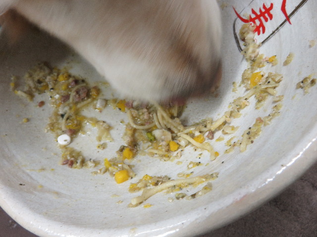 ファイル 5582-1.jpg