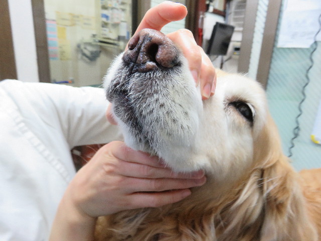 ファイル 5587-2.jpg