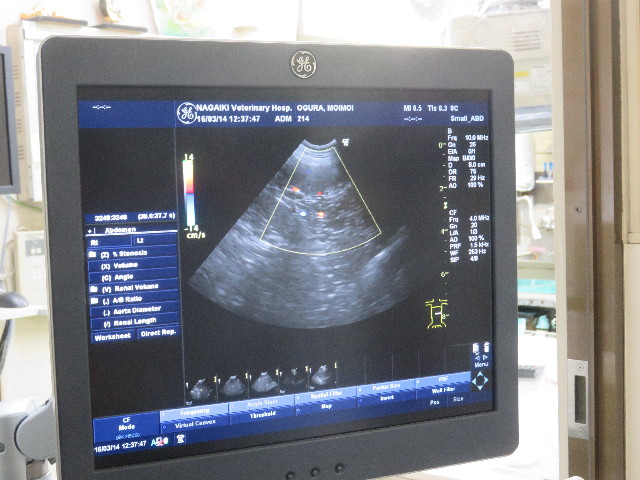 ファイル 5587-4.jpg