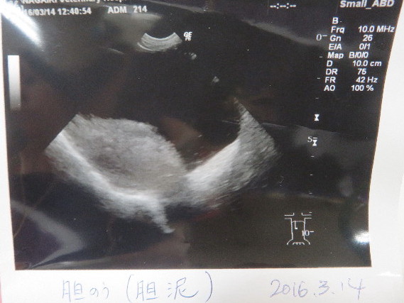 ファイル 5587-5.jpg