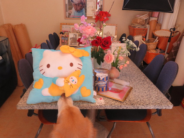 ファイル 5588-3.jpg