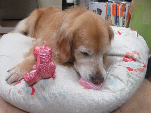 ファイル 5588-4.jpg