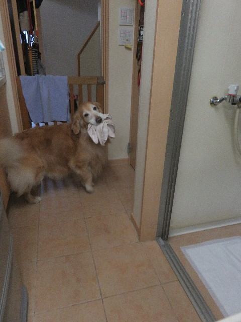 ファイル 5588-5.jpg