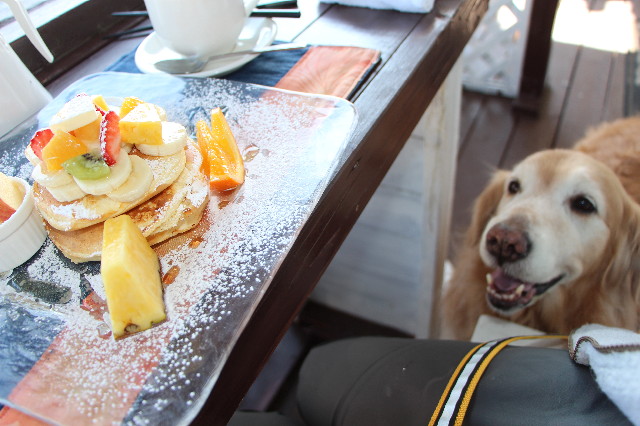 ファイル 5589-2.jpg