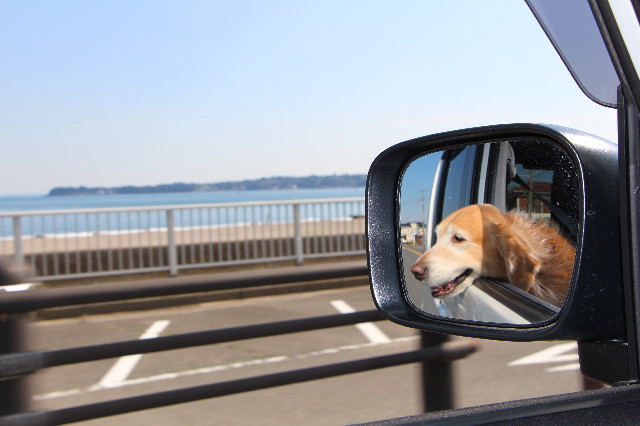 ファイル 5589-3.jpg