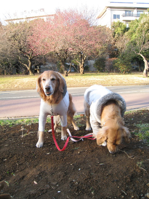 ファイル 559-1.jpg