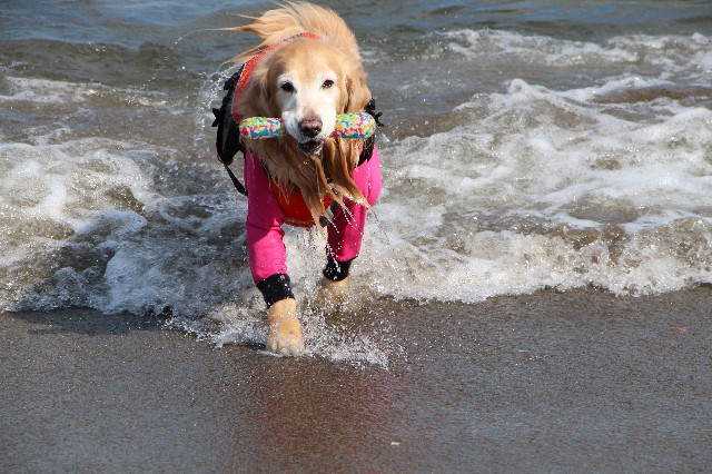 ファイル 5590-2.jpg