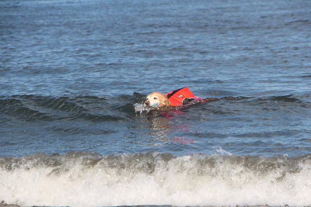 ファイル 5591-5.jpg