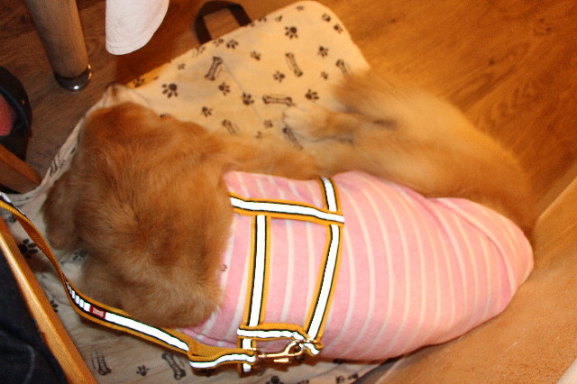 ファイル 5592-5.jpg