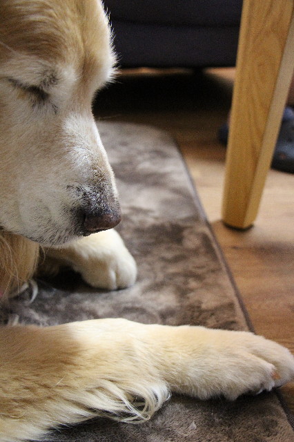 ファイル 5593-3.jpg