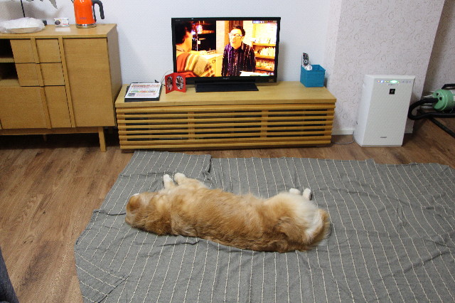 ファイル 5593-5.jpg