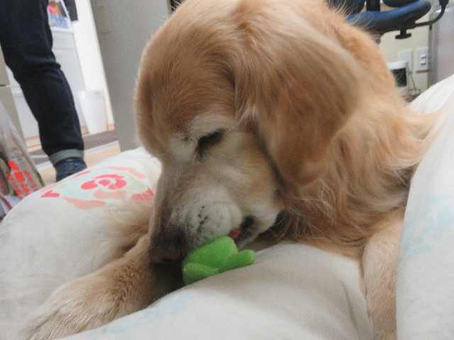 ファイル 5595-5.jpg