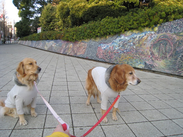 ファイル 560-2.jpg