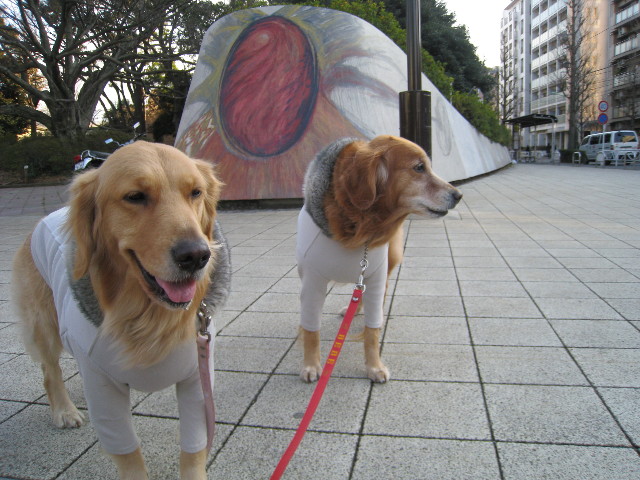 ファイル 560-3.jpg