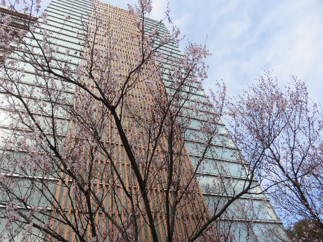 ファイル 5600-5.jpg