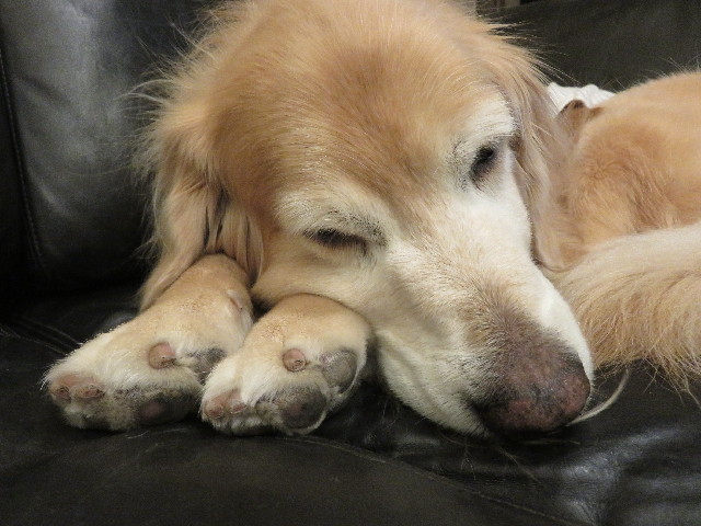 ファイル 5602-1.jpg