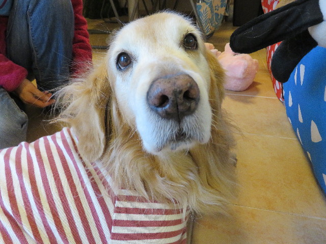 ファイル 5602-4.jpg