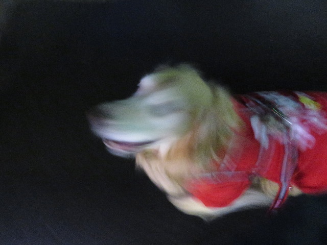 ファイル 5602-5.jpg