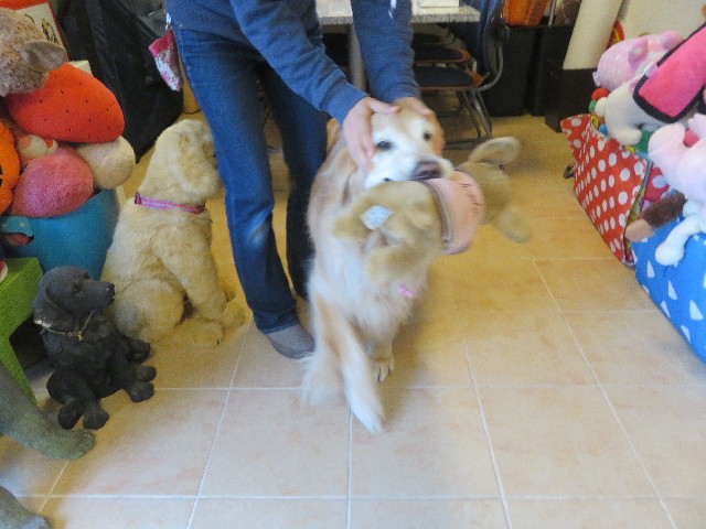 ファイル 5603-4.jpg