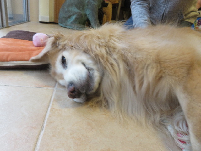 ファイル 5604-3.jpg