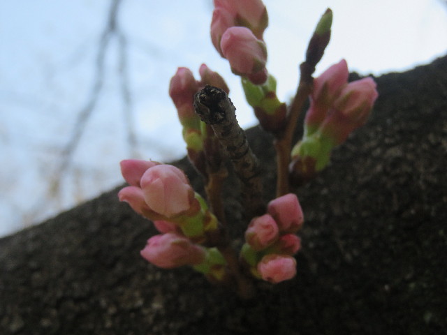 ファイル 5605-5.jpg