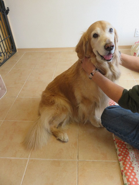 ファイル 5606-5.jpg