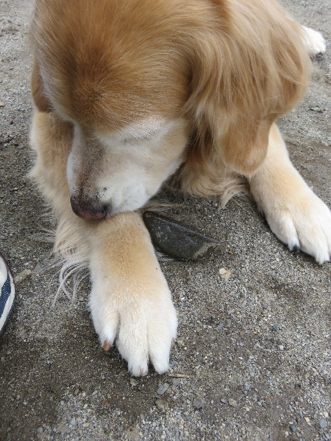 ファイル 5608-3.jpg