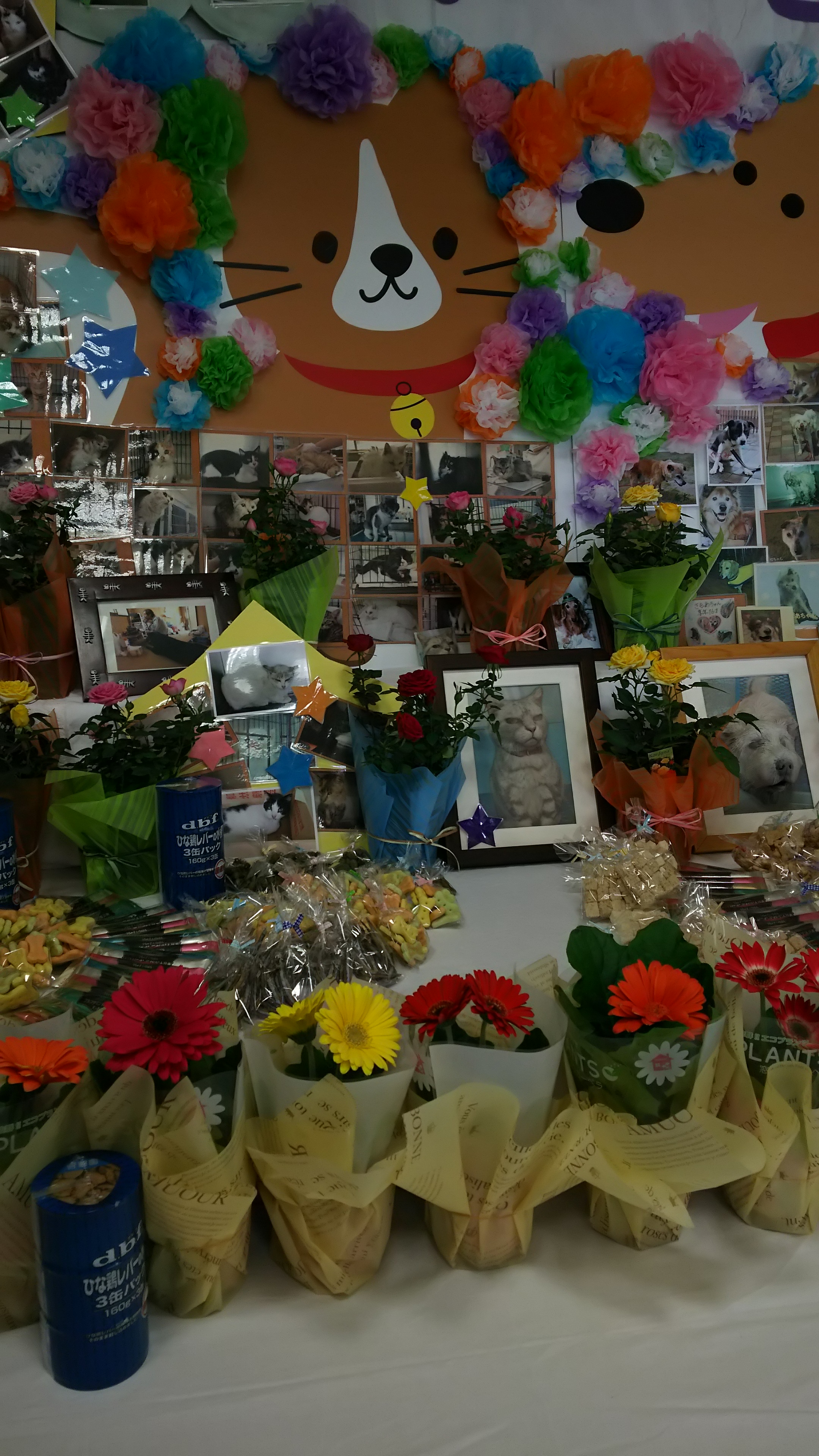 ファイル 5609-1.jpg