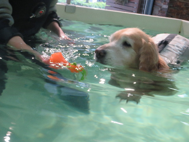 ファイル 5610-2.jpg