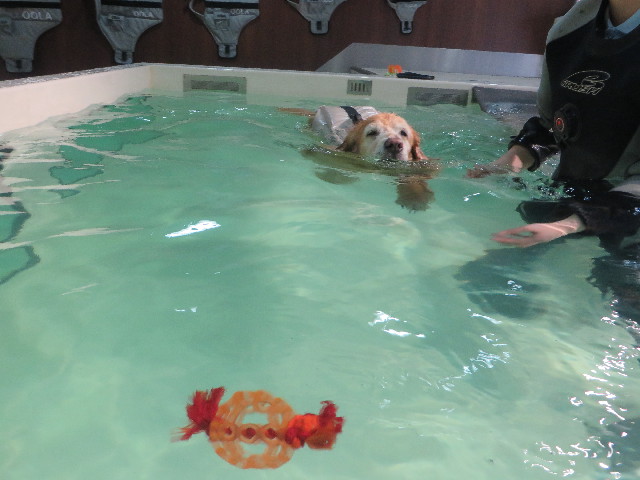 ファイル 5610-3.jpg