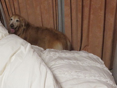 ファイル 5612-5.jpg